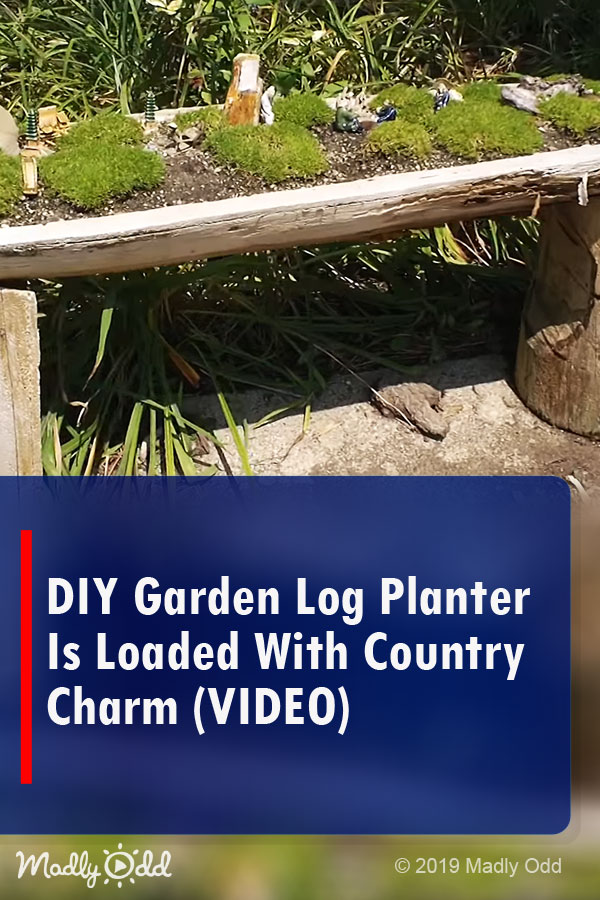 DIY Garden Log Planter Is Loaded With Country Charm (VIDEO)