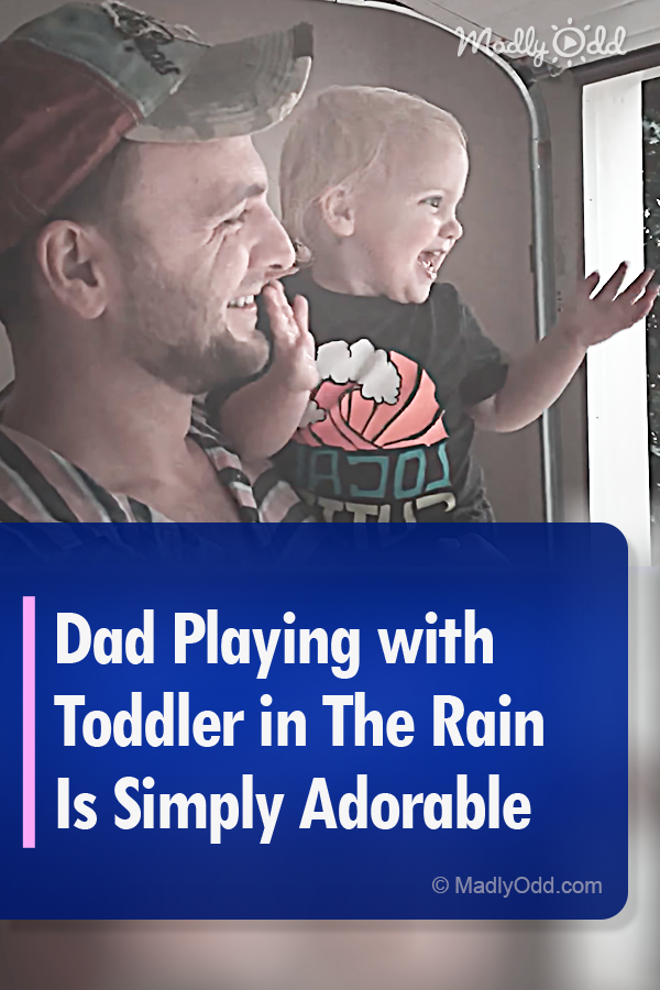 Dad Playing with Toddler in The Rain Is Simply Adorable