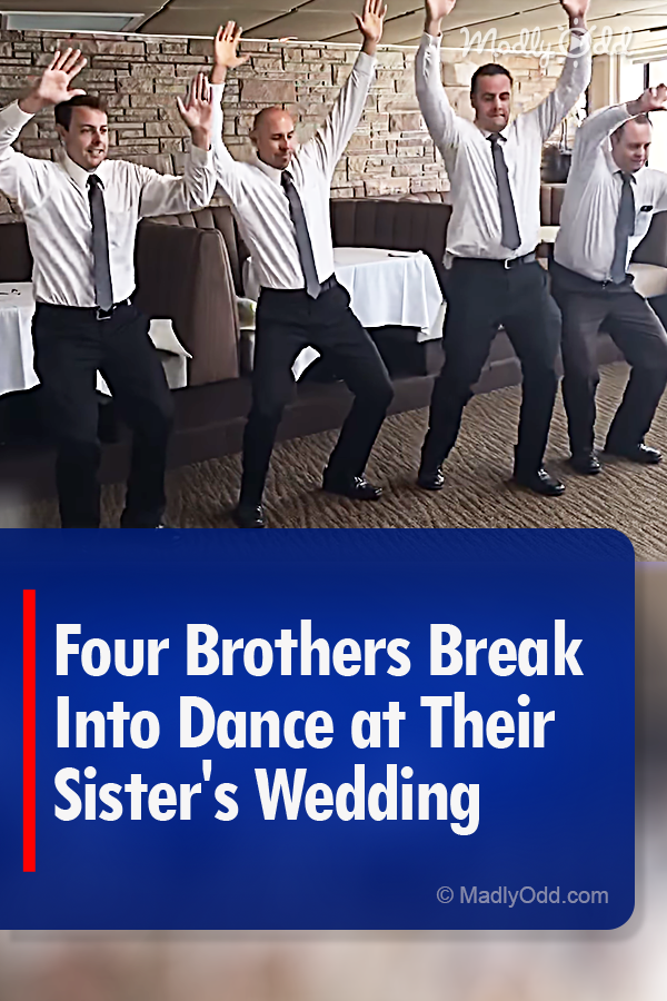 Four Brothers Break Into Dance at Their Sister\'s Wedding