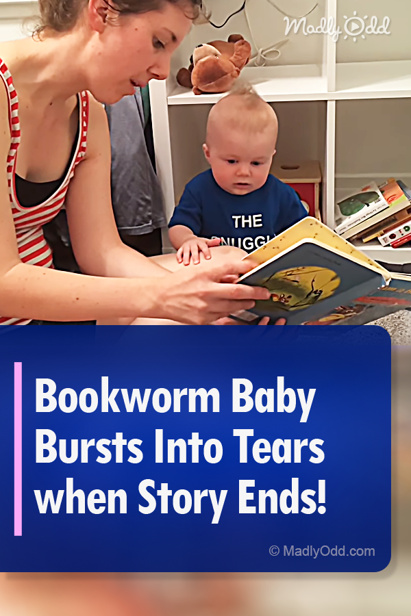 Bookworm Baby Bursts Into Tears when Story Ends!