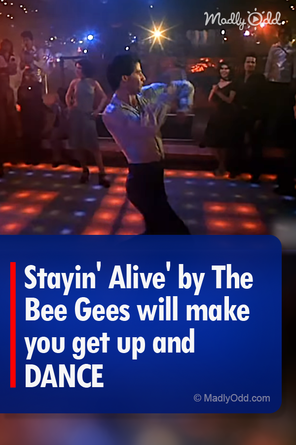 \'Stayin\' Alive\' by The Bee Gees Will Make You Get up and DANCE