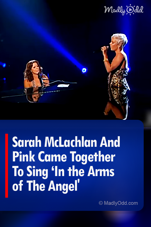 Sarah McLachlan And Pink Came Together To Sing ‘In the Arms of The Angel\'