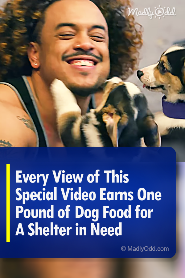 Every View of This Special Video Earns One Pound of Dog Food for A Shelter in Need