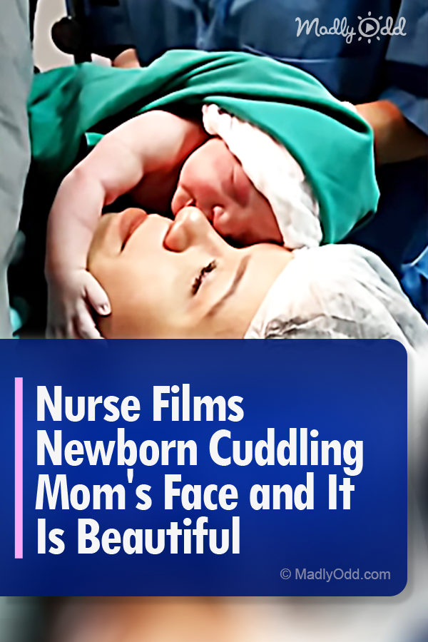 Nurse Films Newborn Cuddling Mom\'s Face and It Is Beautiful