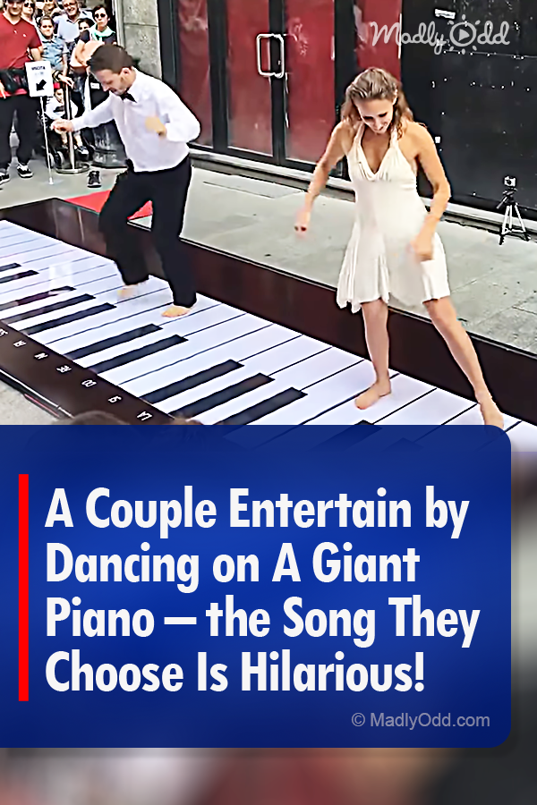 A Couple Entertain by Dancing on A Giant Piano – the Song They Choose Is Hilarious!