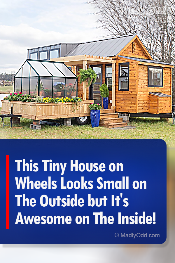 This Tiny House on Wheels Looks Small on The Outside but It\'s Awesome on The Inside!