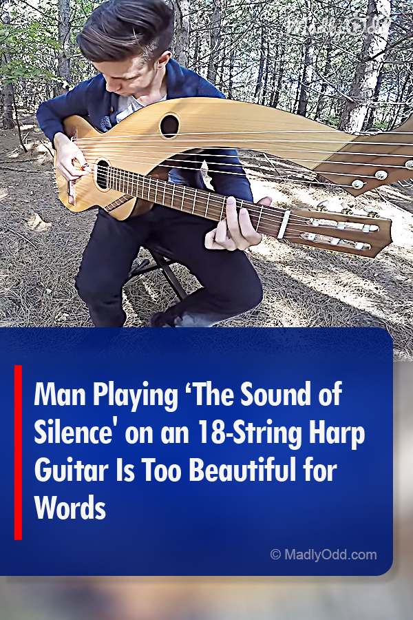 Man Playing ‘The Sound of Silence\' on an 18-String Harp Guitar Is Too Beautiful for Words