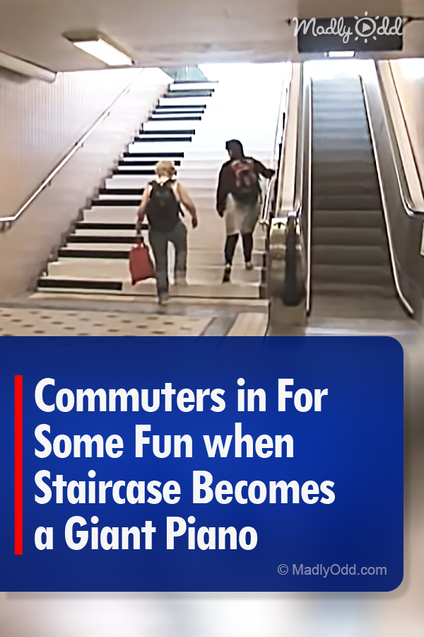 Commuters in For Some Fun when Staircase Becomes a Giant Piano