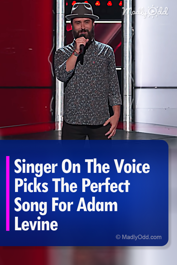 Singer On The Voice Picks The Perfect Song For Adam Levine