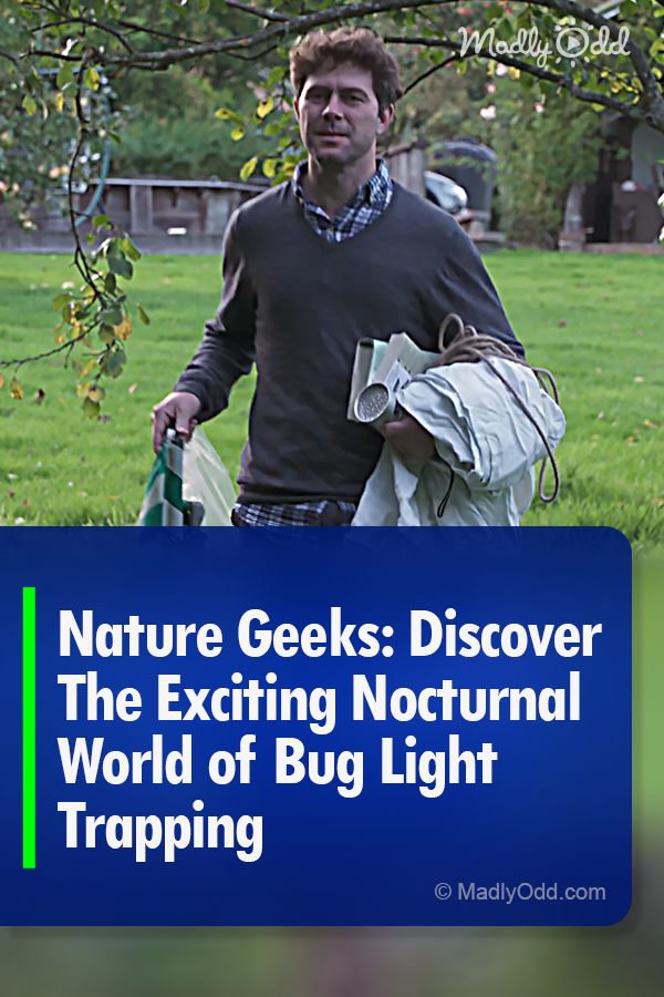 Nature Geeks: Discover The Exciting Nocturnal World of Bug Light Trapping