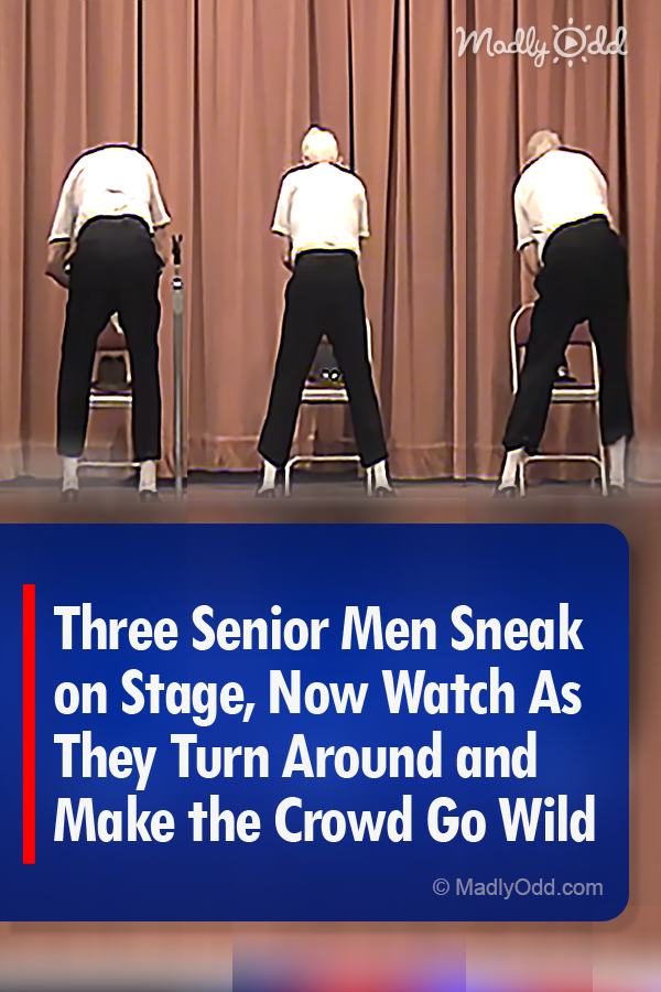 Three Senior Men Sneak on Stage, Now Watch As They Turn Around and Make the Crowd Go Wild