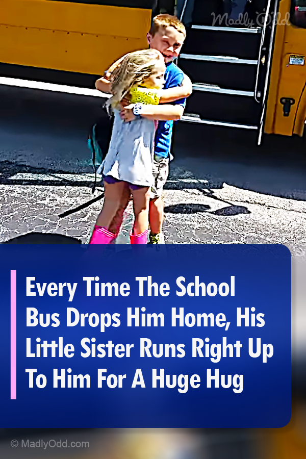 Every Time The School Bus Drops Him Home, His Little Sister Runs Right Up To Him For A Huge Hug
