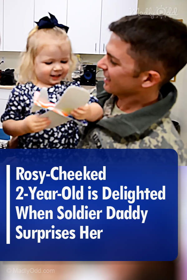 Rosy-Cheeked 2-Year-Old is Delighted When Soldier Daddy Surprises Her