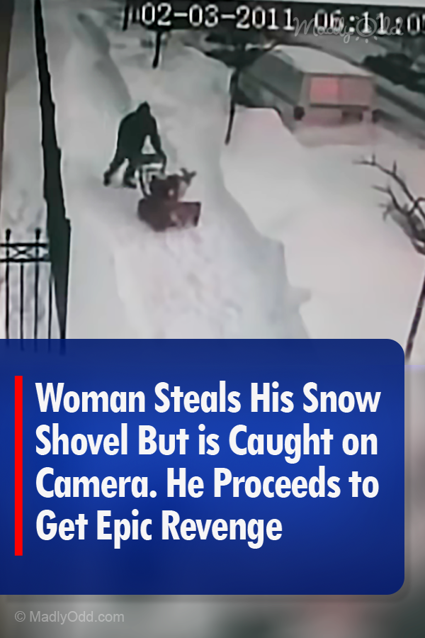 Woman Steals His Snow Shovel but Is Caught on Camera. He Proceeds to Get Epic Revenge