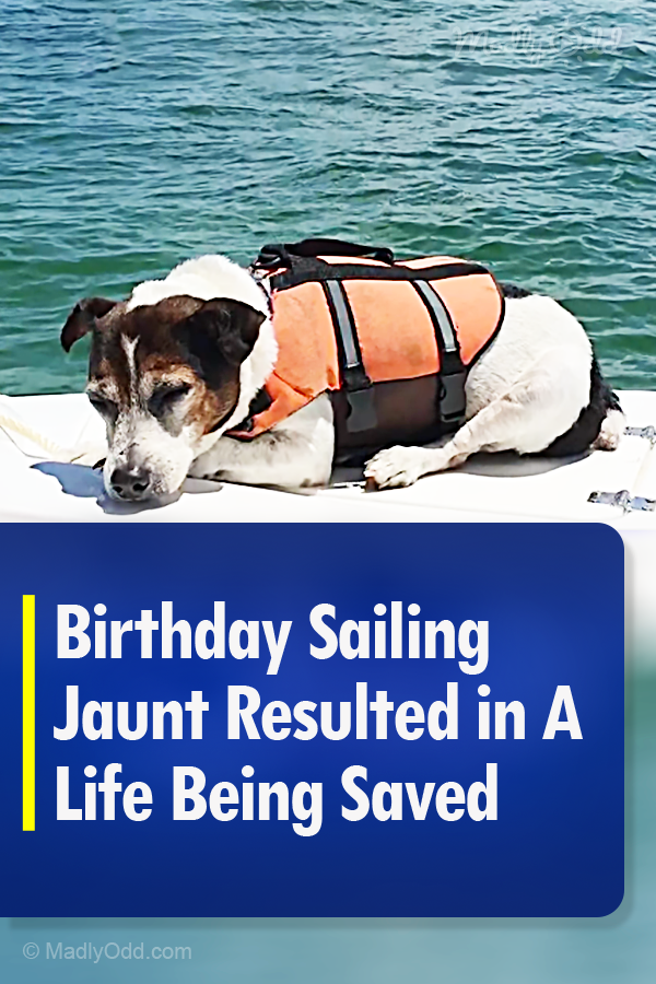 Birthday Sailing Jaunt Resulted in A Life Being Saved