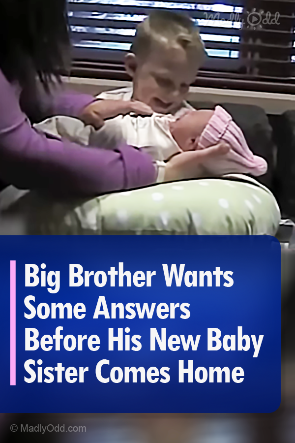 Big Brother Wants Some Answers Before His New Baby Sister Comes Home