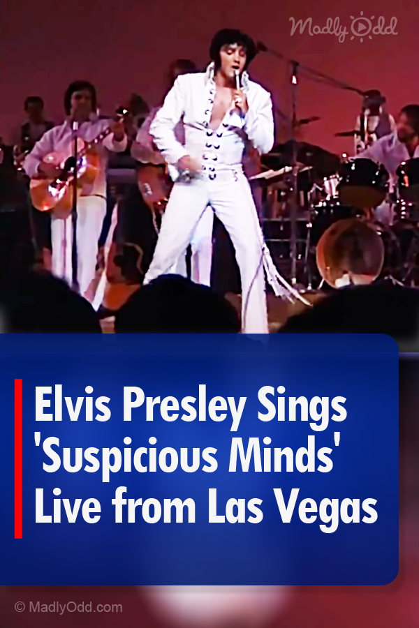 Elvis Presley Sings \'Suspicious Minds\' Live from Las Vegas