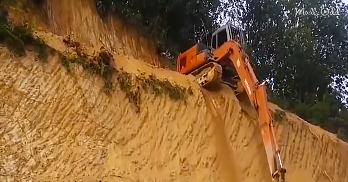 Driving a Backhoe Down a Cliffside Doesn't Strike Us As Particularly Intelligent