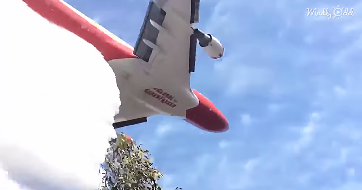 Insane Low-Fly-By Footage of Massive Supertanker Plane Dropping 72.6 Tons Of Water On Forest Fire In Chile