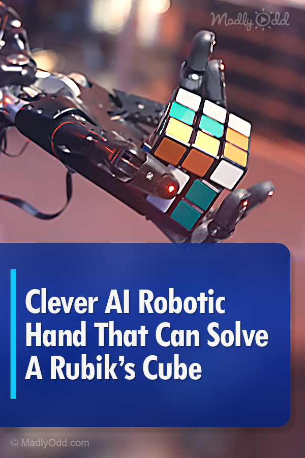 Clever AI Robotic Hand That Can Solve A Rubik’s Cube