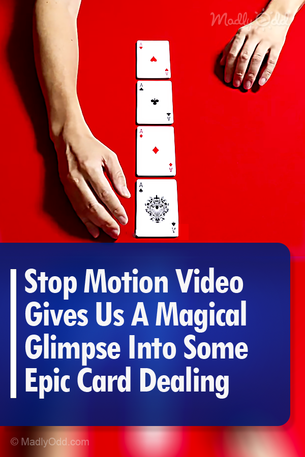 Stop Motion Video Gives Us A Magical Glimpse Into Some Epic Card Dealing
