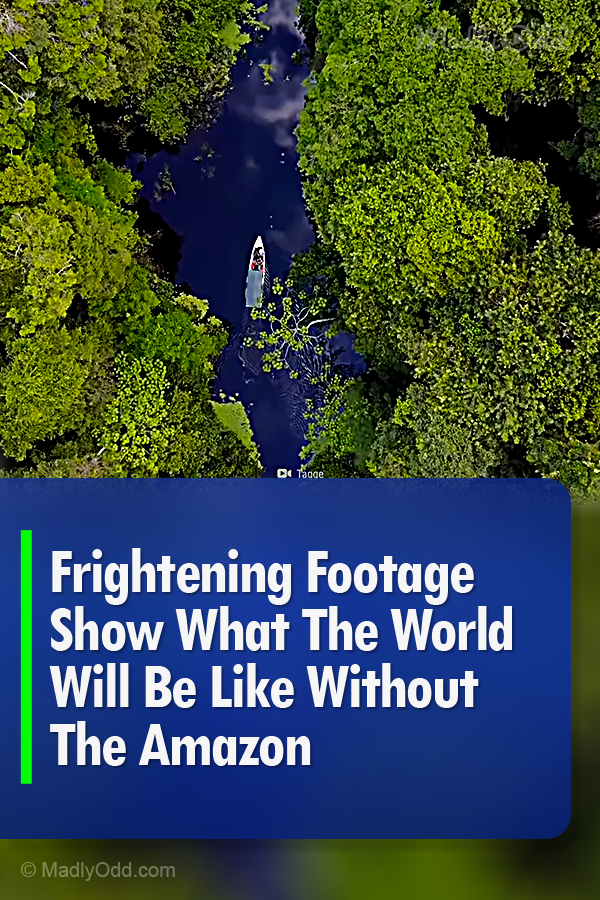Frightening Footage Show What The World Will Be Like Without The Amazon Rainforest