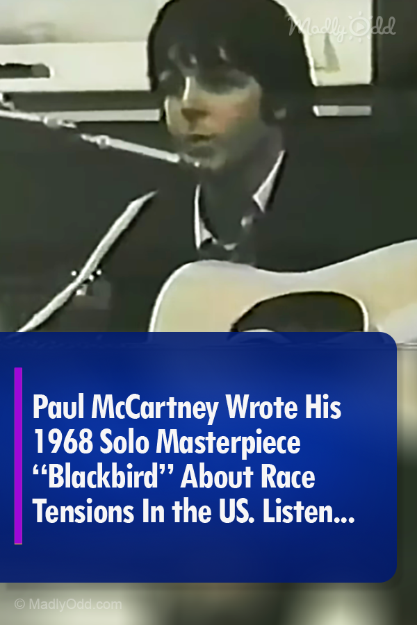 Paul McCartney Wrote His 1968 Solo Masterpiece “Blackbird” About Race Tensions In the US. Listen...