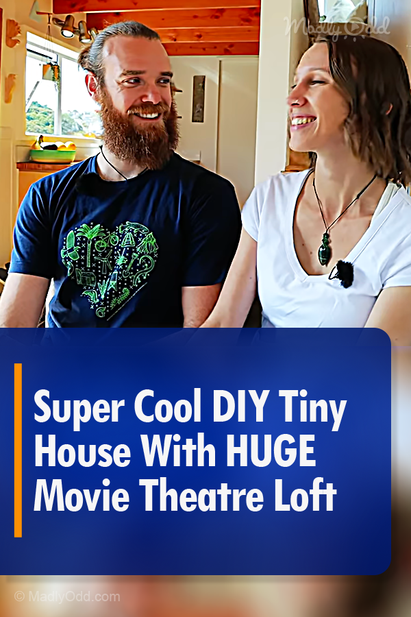 Movie Buff Couple Design Tiny House Around Their Giant Flatscreen TV
