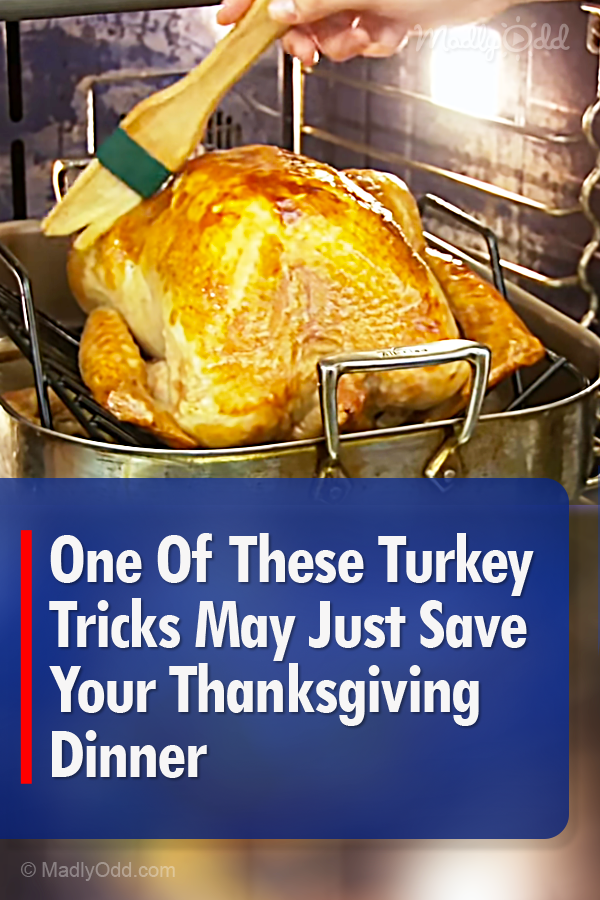 One Of These Turkey Tricks May Just Save Your Thanksgiving Dinner