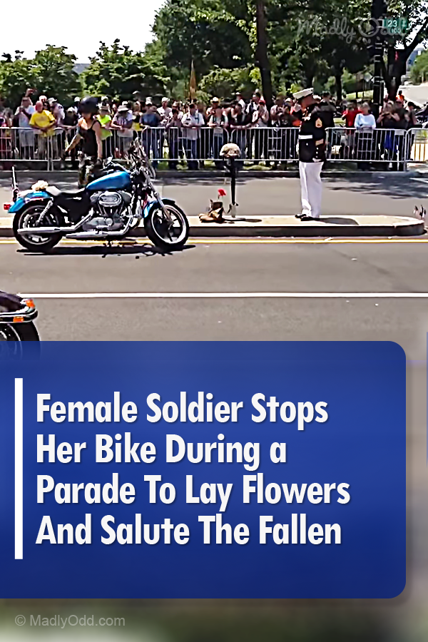 Female Soldier Stops Her Bike During a Parade To Lay Flowers And Salute The Fallen