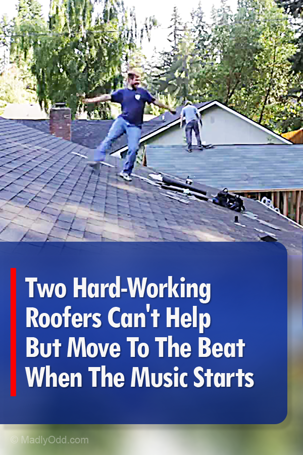 Two Hard-Working Roofers Can\'t Help But Move To The Beat When The Music Starts Playing