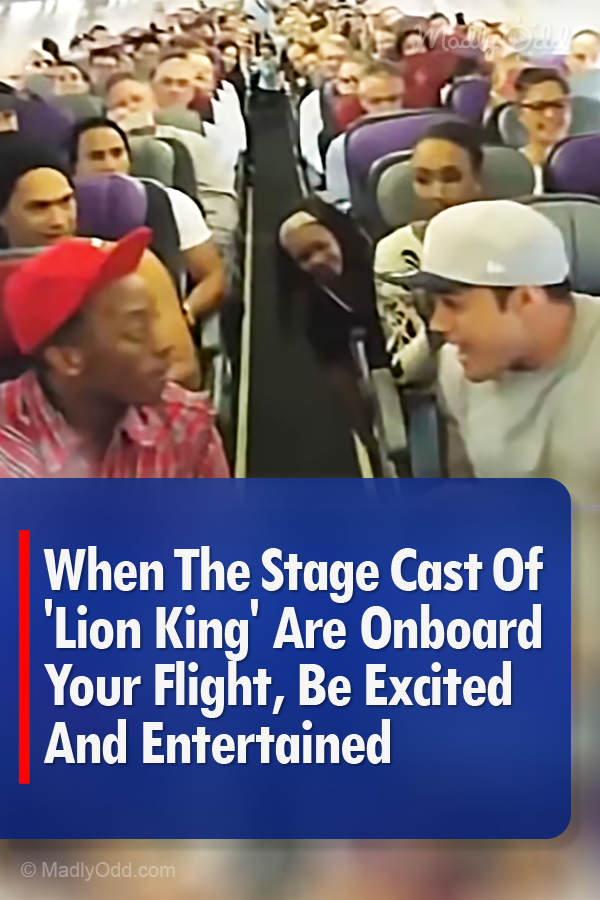 When The Stage Cast Of \'Lion King\' Are Onboard Your Flight, Be Excited And Entertained