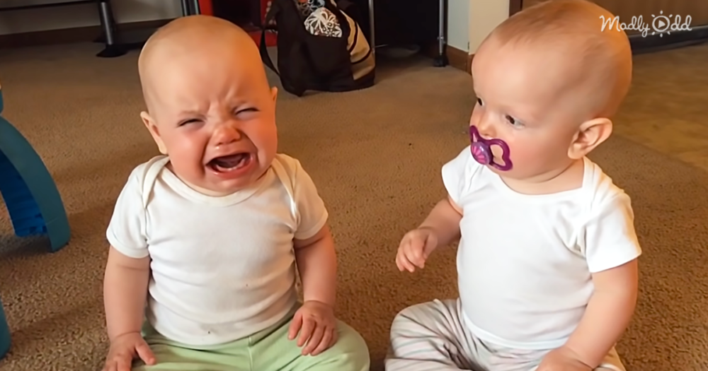 Two Baby Sisters Fight Over Who Gets To Use The Dummy