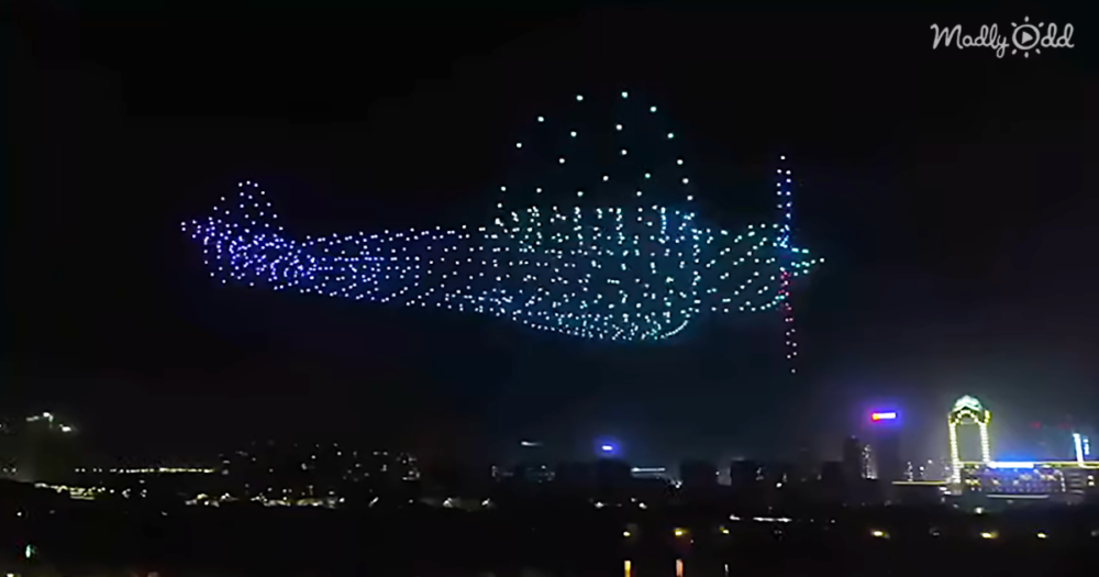 Move Over Fireworks, The Next Great Step In Nighttime Entertainment Is 800 LED Equipped Drones