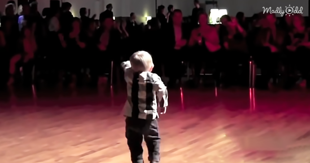 2-Year-Old William Stokkebroe Dances To ‘Jailhouse Rock’