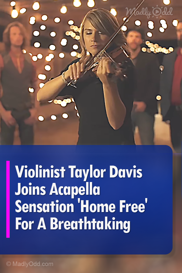 Violinist Taylor Davis Joins Acapella Sensation \'Home Free\' For A Breathtaking \'Silent Night\'
