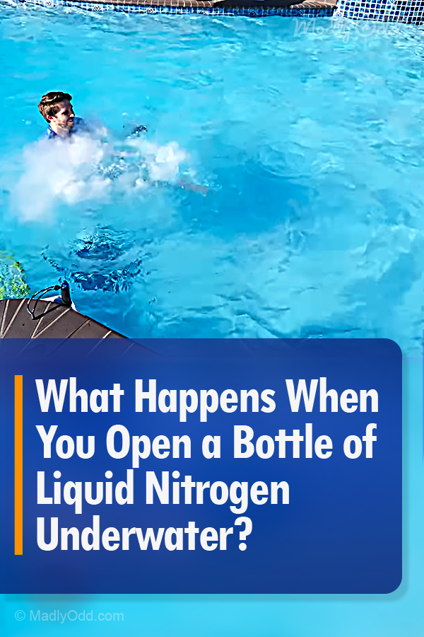 What Happens When You Open A Bottle of Liquid Nitrogen In A Swimming Pool?