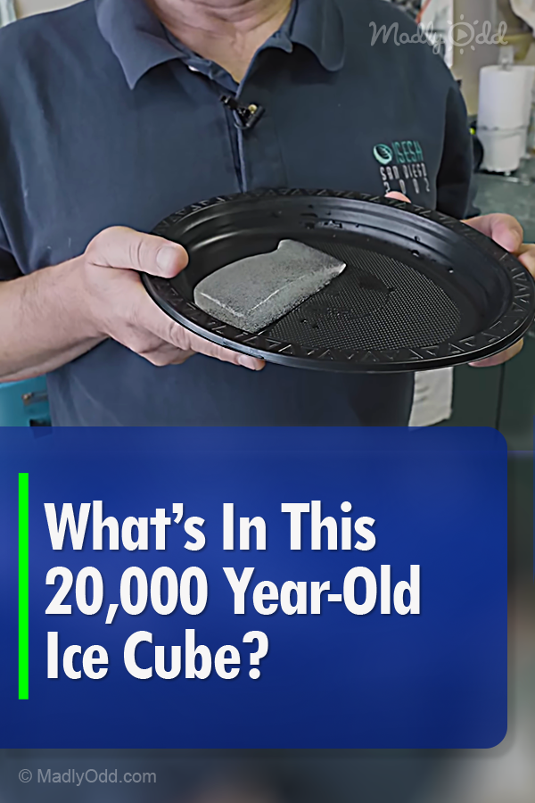 What’s In This 20,000 Year-Old Ice Cube?