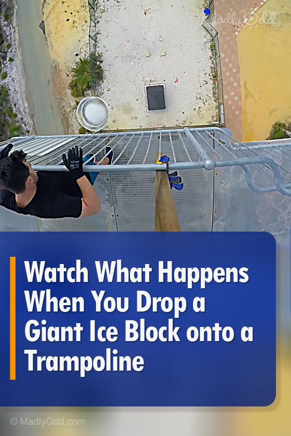 Watch What Happens When You Drop a Giant Ice Block onto a Trampoline