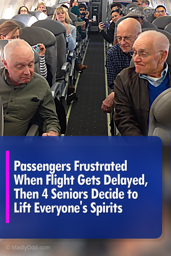 Four Seniors Save The Day Singing Acapella Through Flight Delay