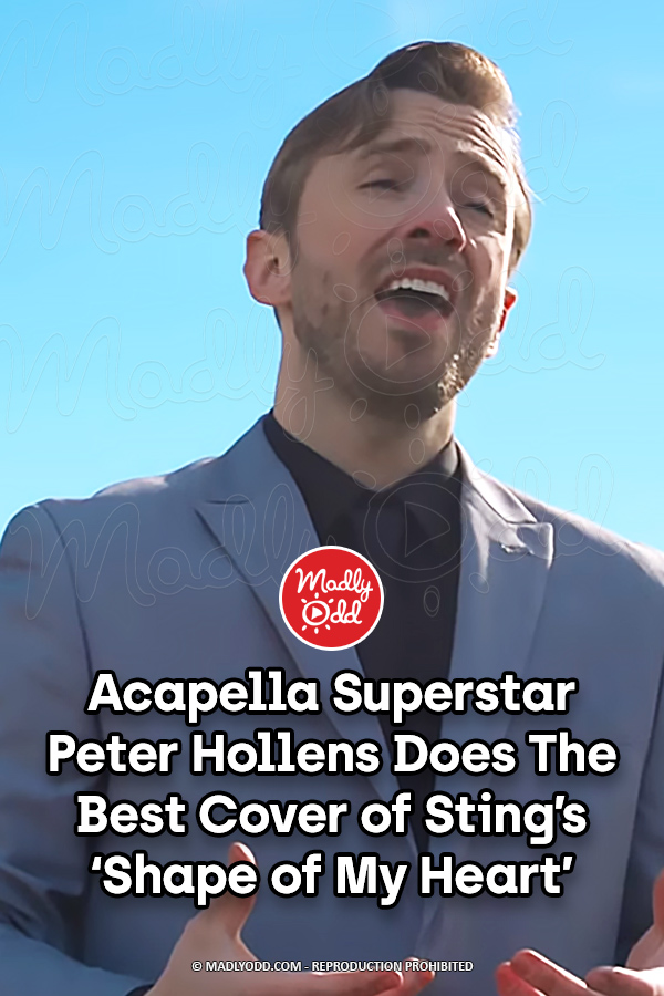 Acapella Superstar Peter Hollens Does The Best Cover of Sting\'s \'Shape of My Heart\'