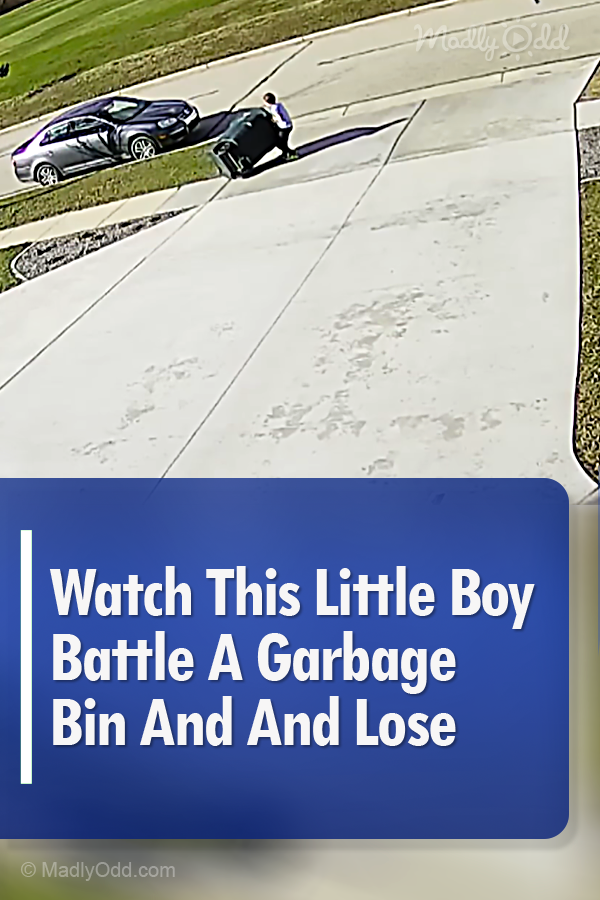 Garbage Can Takes Out Kid: See Why Taking Out The Trash On A Windy Day Is Dad’s Job