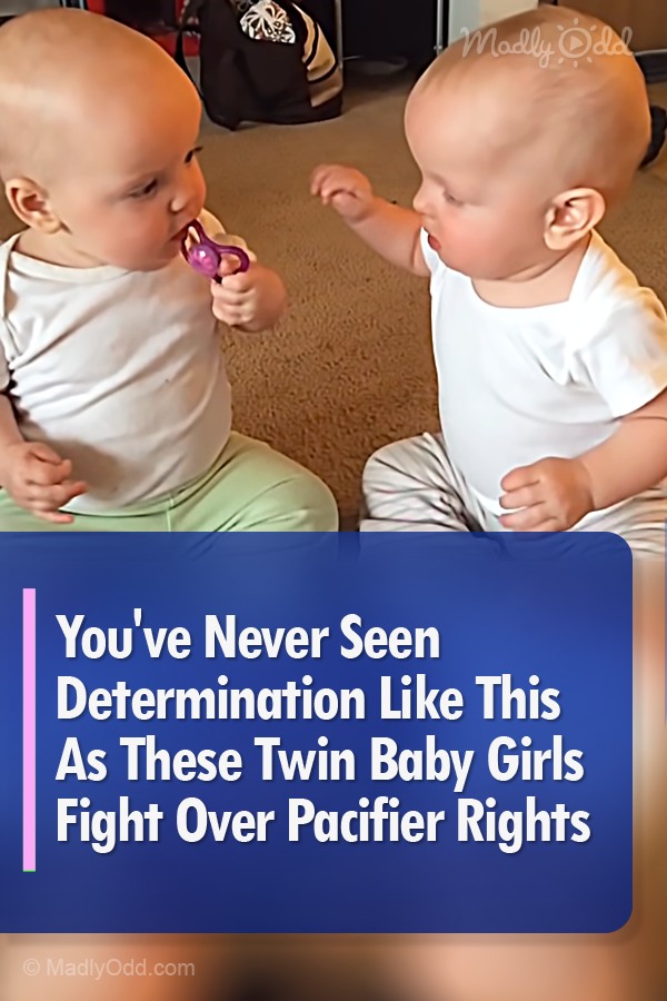 You\'ve Never Seen Determination Like This As These Twin Baby Girls Fight Over Pacifier Rights