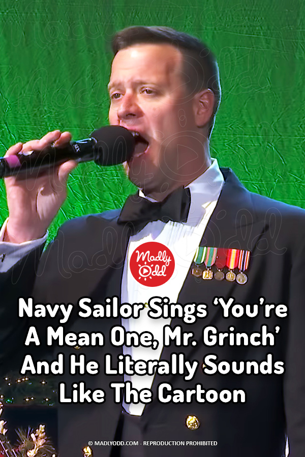 Navy Sailor Sings \'You\'re A Mean One, Mr. Grinch\' And He Literally Sounds Like The Cartoon