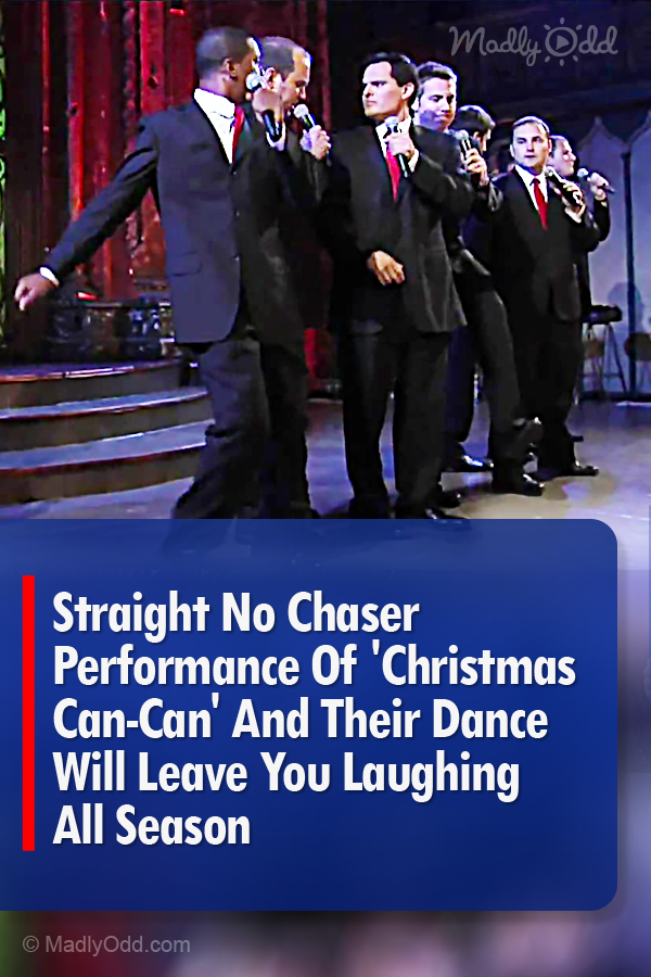 Straight No Chaser Performance Of \'Christmas Can-Can\' And Their Dance Will Leave You Laughing All Season
