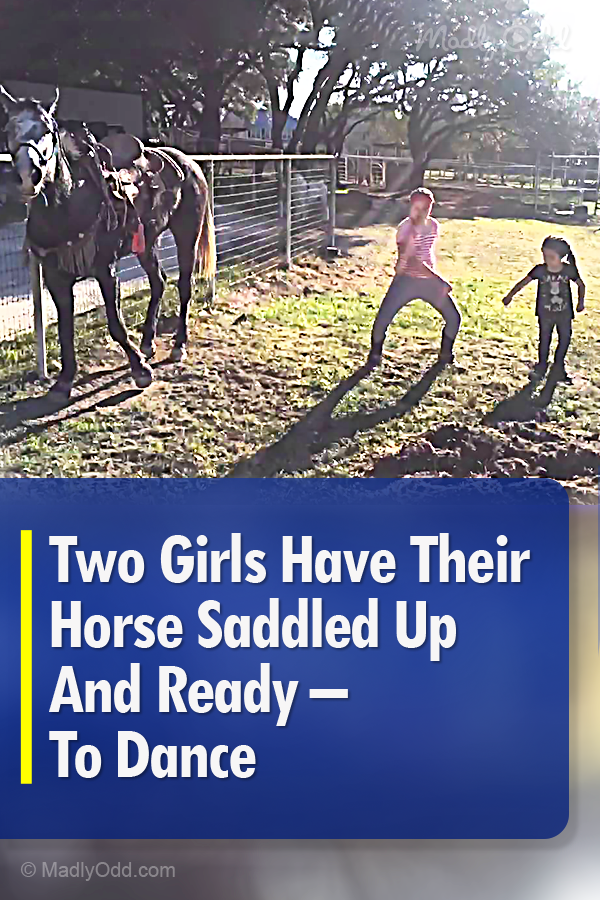 Two Girls Have Their Horse Saddled up And Ready – To Dance