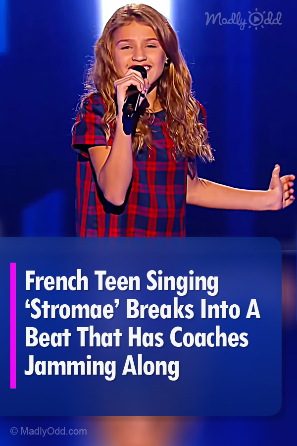 French Teen Singing ‘Stromae’ Breaks Into A Beat That Has Coaches Jamming Along