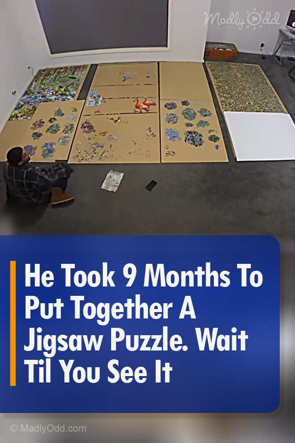 He Took 9 Months To Put Together A Jigsaw Puzzle. Wait Til You See It