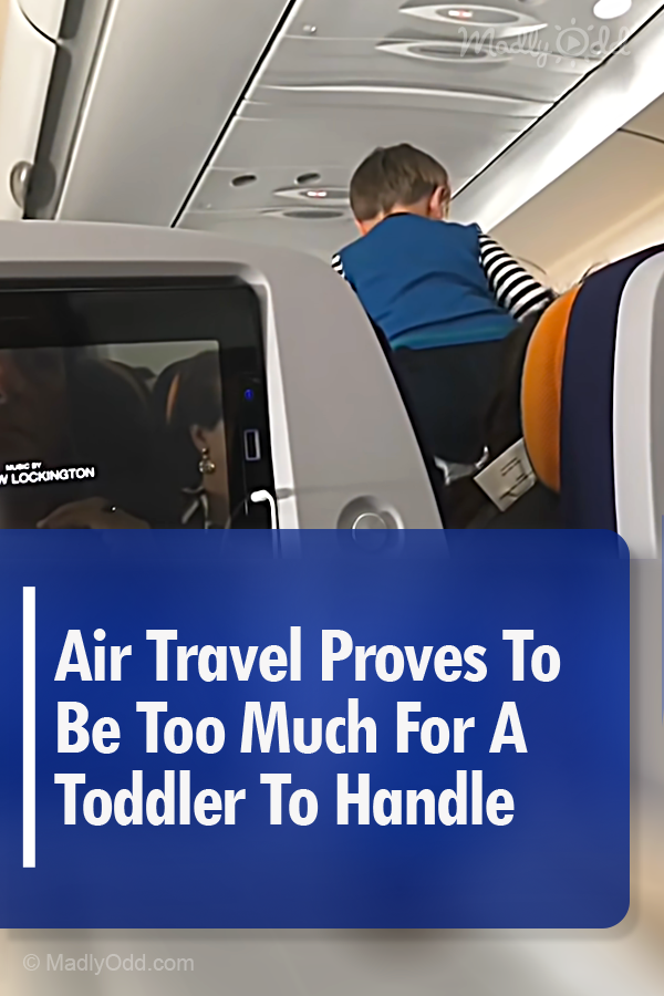 Air Travel Proves To Be Too Much For A Toddler To Handle