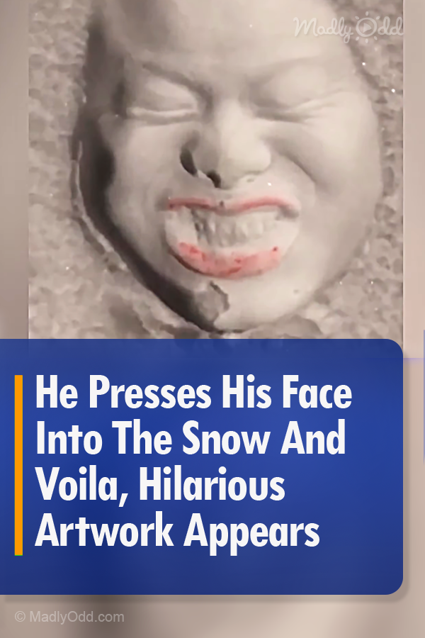 He Presses His Face Into The Snow And Voila, Hilarious Artwork Appears